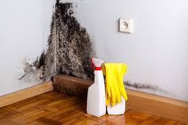 Best Commercial Mold Inspection  in Marion, KS